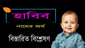 হাবিব নামের অর্থ কি ও তাৎপর্য | habib bengali meaning