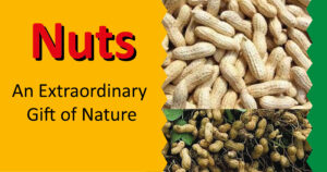 Nuts: An Extraordinary Gift of Nature 1 nuts