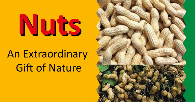nuts