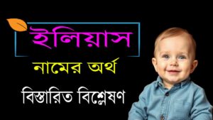 ইলিয়াস নামের অর্থ – ইসলামিক দৃষ্টিকোণ থেকে বিশ্লেষণ 8 ইলিয়াস নামের অর্থ – ইসলামিক দৃষ্টিকোণ থেকে বিশ্লেষণ