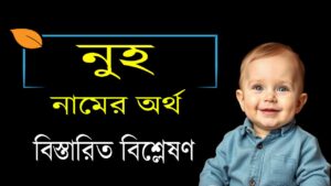নুহ নামের অর্থ কি? – একটি পূর্ণাঙ্গ গাইড ২০২৫