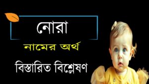 নোরা নামের অর্থ কি ও তাৎপর্য | Nora name meaning in Bengali 1 নোরা নামের অর্থ কি ও তাৎপর্য | Nora name meaning in Bengali