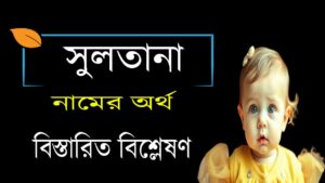 সুলতানা নামের অর্থ কি ও তাৎপর্য | Sultana নামের অর্থ কি 4 সুলতানা নামের অর্থ কি ও তাৎপর্য | Sultana নামের অর্থ কি