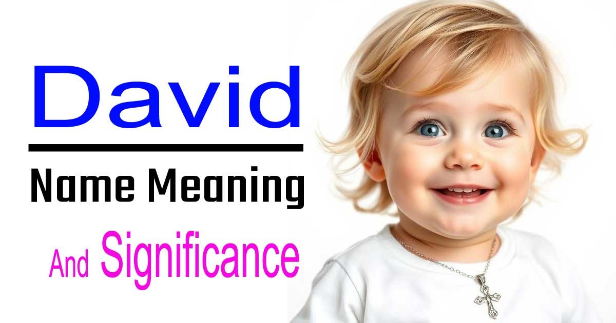 David Name Meaning