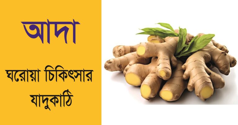 আদা-ঘরোয়া-চিকিৎসার-যাদুকাঠি-ও-স্বাস্থ্য-উপকারিতা.