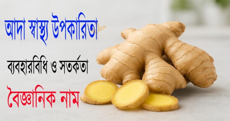 আদা স্বাস্থ্য উপকারিতা