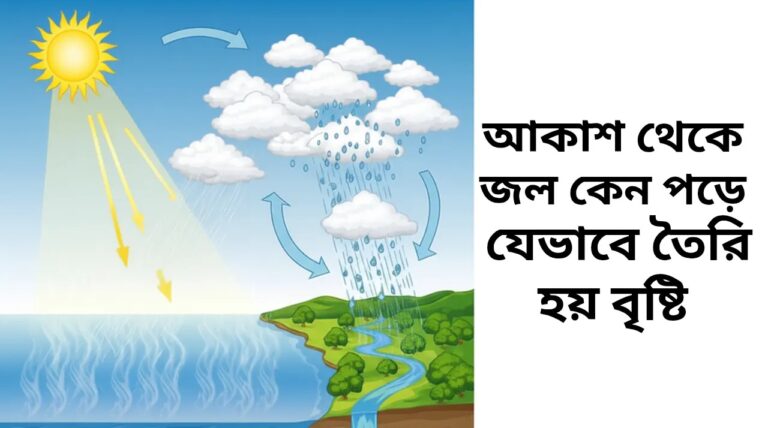 থেকে জল কেন পড়ে যেভাবে তৈরি হয় বৃষ্টি 20250824 030047 0000