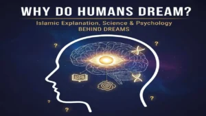 Why Do Humans Dream? — Islamic Explanation, Science & Psychology Behind Dreams
