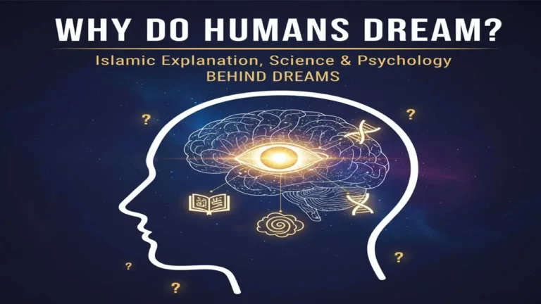 Why Do Humans Dream? — Islamic Explanation, Science & Psychology Behind Dreams