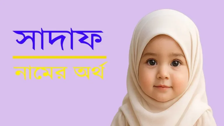 সাদাফ নামের অর্থ কী? — আরবি উৎস, ইসলামিক গ্রহণযোগ্যতা, ব্যক্তিত্ব, বানানের ভিন্নতা ও জনপ্রিয়তা বিশ্লেষণ