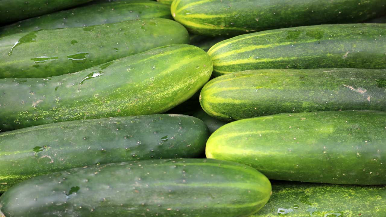 Embrace the summer heat with refreshing cucumbers