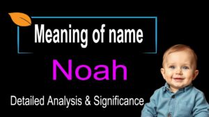 What is the Meaning of the Name Noah? – A Complete Guide for 2025